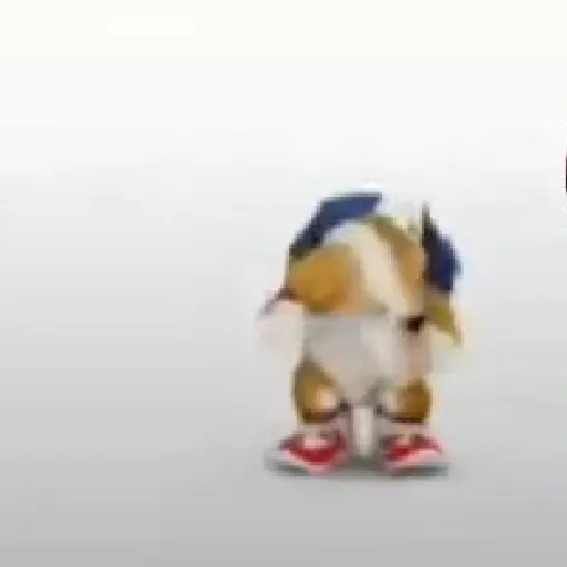 gato bailando