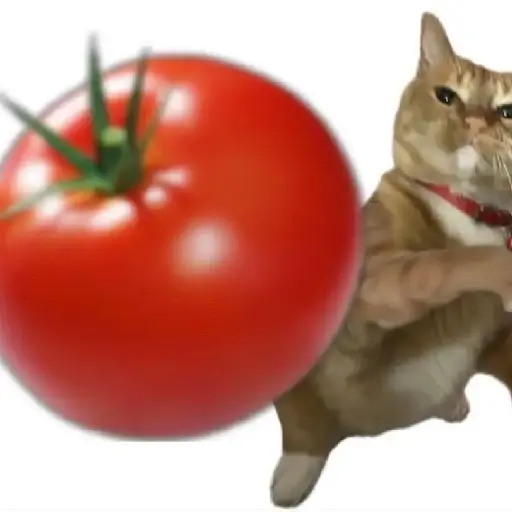 Tomate no gato 🍅 preview