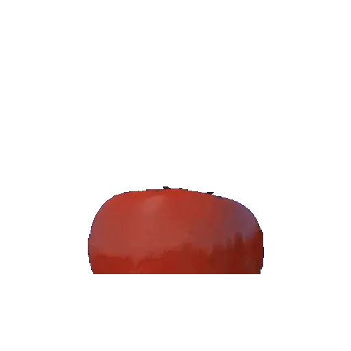 Tomate no gato 🍅