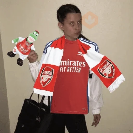 Arsenal sticker 12