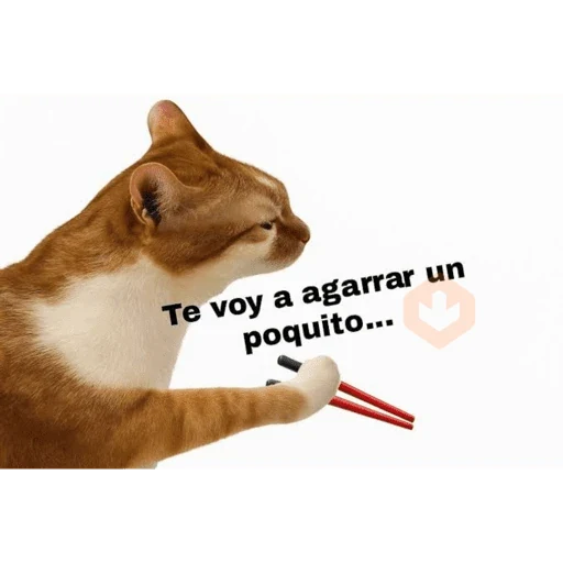 Mis sticker sticker 12