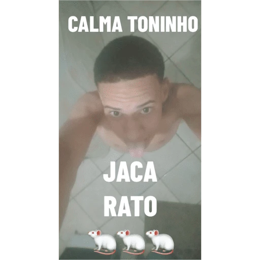 Minhas figurinhas