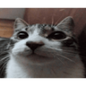 tray-icon
