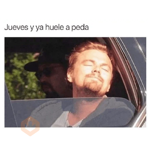 memes sticker 25