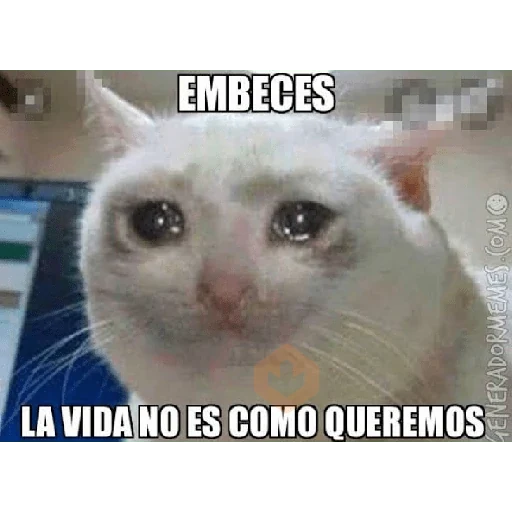 memes sticker 16