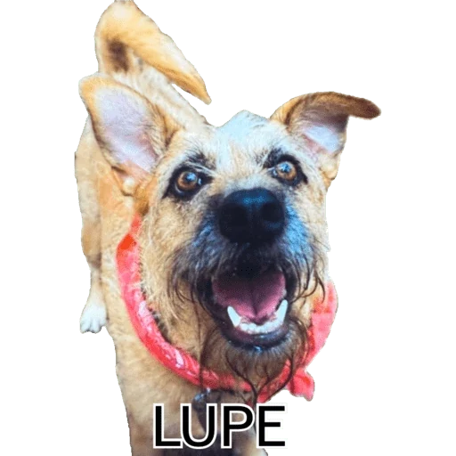 Juan sticker 21