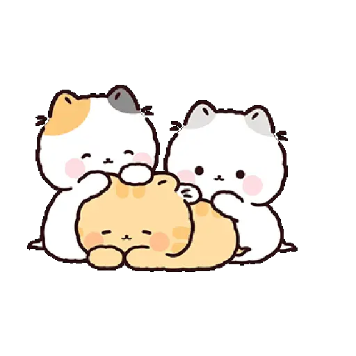 Gatos cute 😽 ฅ^•ﻌ•^ฅ