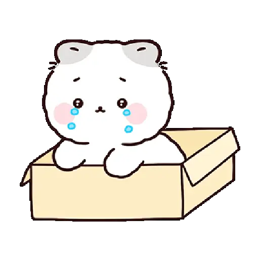 Gatos cute 😽 ฅ⁠^⁠•⁠ﻌ⁠•⁠^⁠ฅ preview