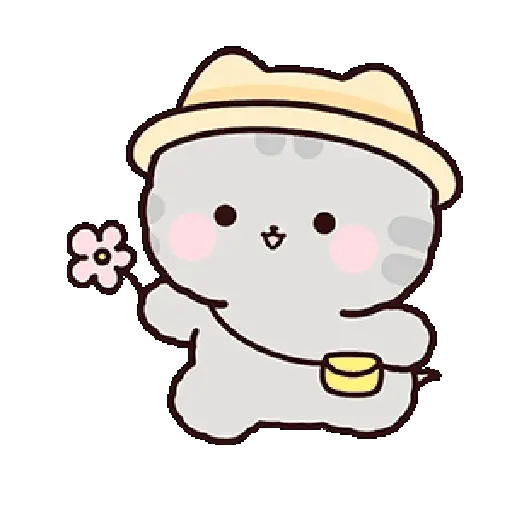 Gatos cute 😽 ฅ^•ﻌ•^ฅ