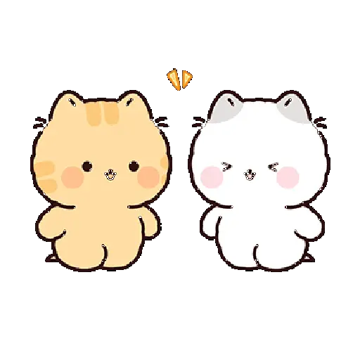 Gatos cute 😽 ฅ^•ﻌ•^ฅ