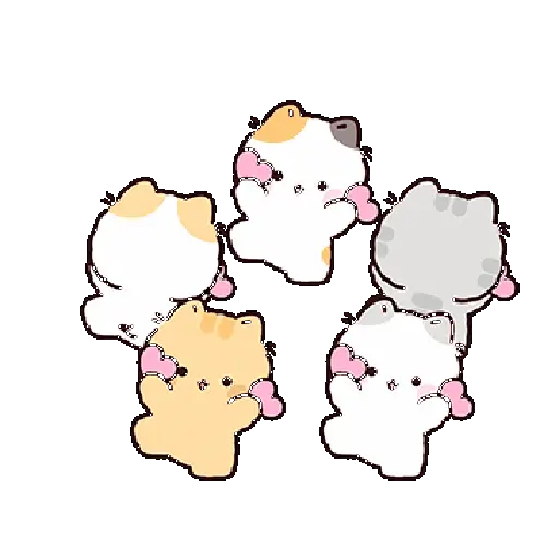 Gatos cute 😽 ฅ^•ﻌ•^ฅ