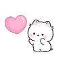 Gatos cute 😽 ฅ^•ﻌ•^ฅ