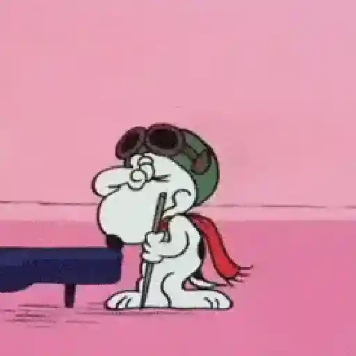 ㅤㅤ❝ㅤㅤㅤ🌸ᅠᅠ〔 Snoopy 〕ᅠᅠ鑟鑟