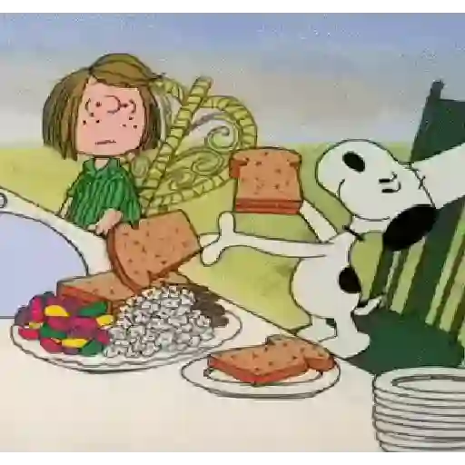 ㅤㅤ❝ㅤㅤㅤ🌸ᅠᅠ〔 Snoopy 〕ᅠᅠ鑟鑟