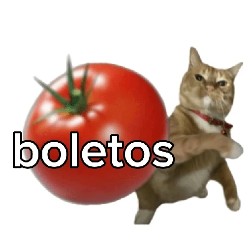 Tomates & Gatos 🍅