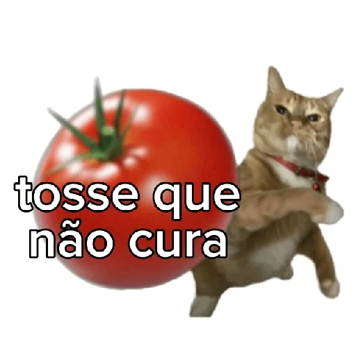 Tomates & Gatos 🍅