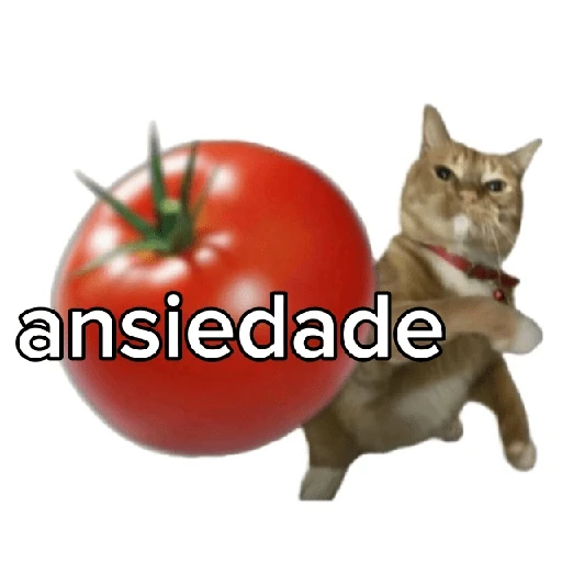 Tomates & Gatos 🍅