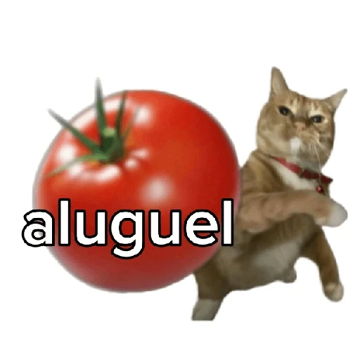 Tomates & Gatos 🍅