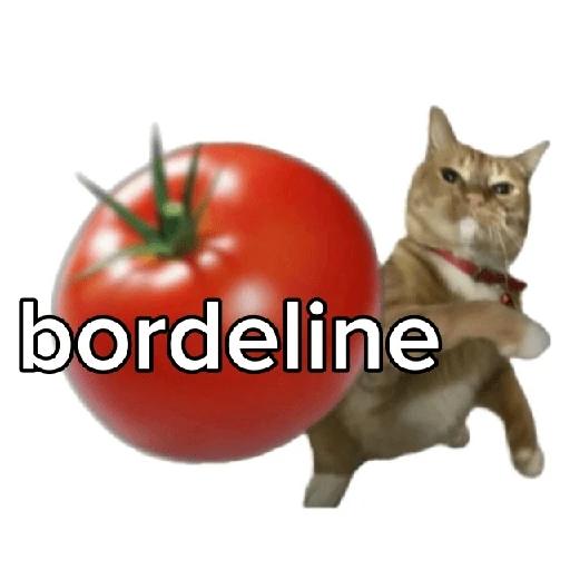 Tomates & Gatos 🍅
