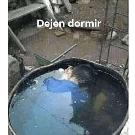 pene