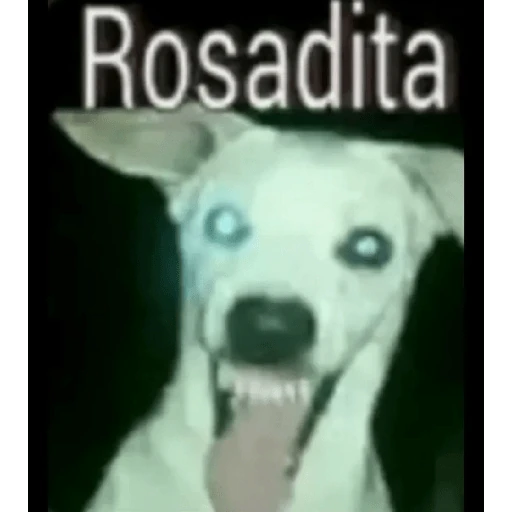 pene