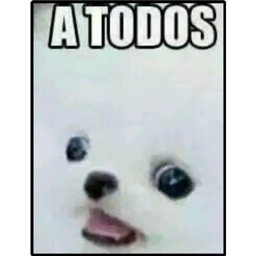 solo los mejores pac-mans del 