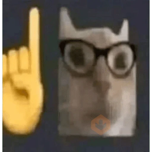 memes de gatos xd sticker 20
