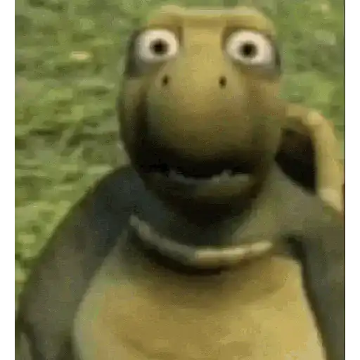 Novos memes 5