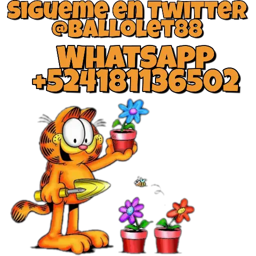 GARFIELD Twitter @ballolet88 
