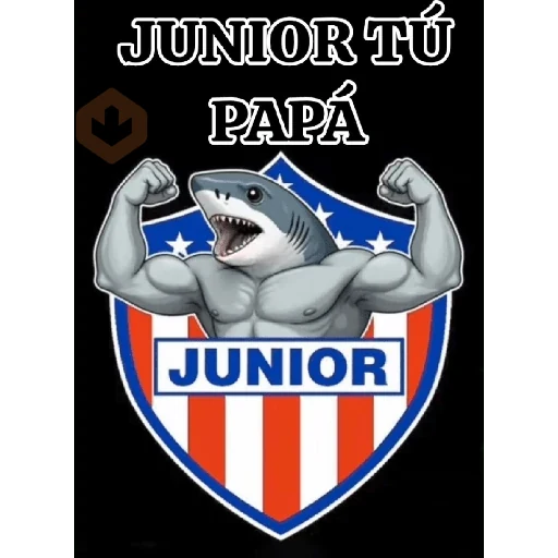 HOLA sticker 12