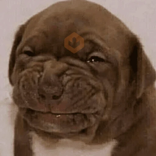 random shit sticker 21