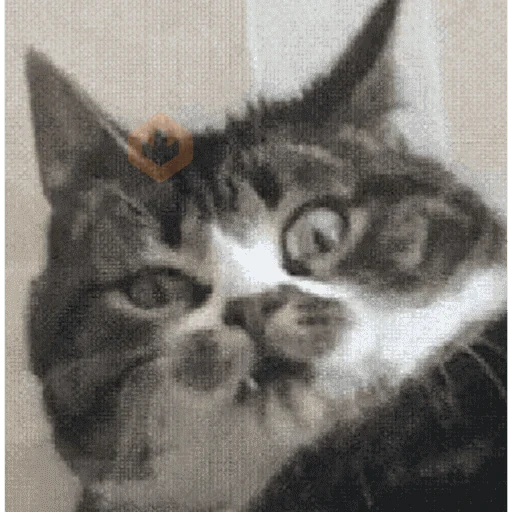 Gatos malvados sticker 20