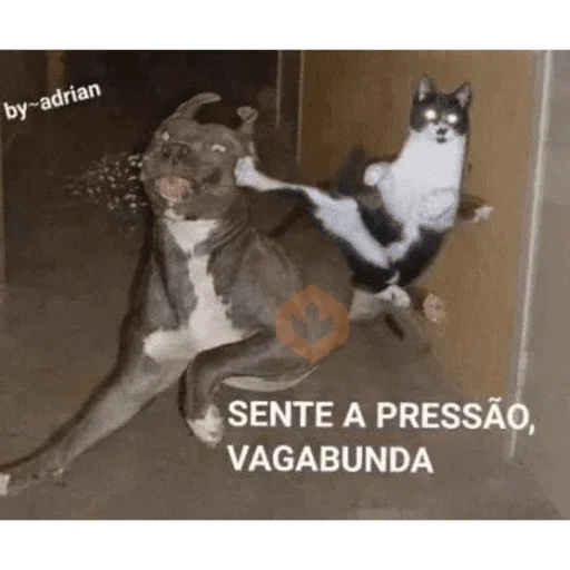 Gatos malvados sticker 24