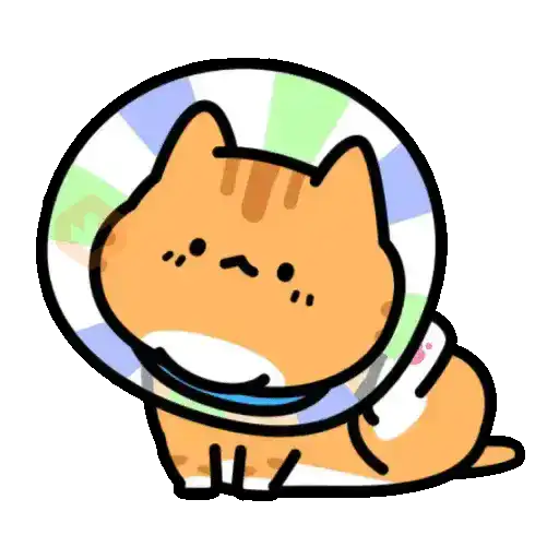 Gatos pa tu chat¹ 🐈🐈‍⬛📲 sticker 19