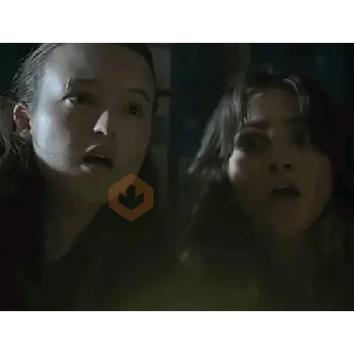Ellie & Dina🌈| The Last of us sticker 25