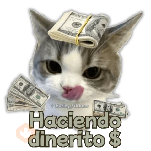 🧋🍉 GATOS que NECESITAS 🍉🧋 sticker 13