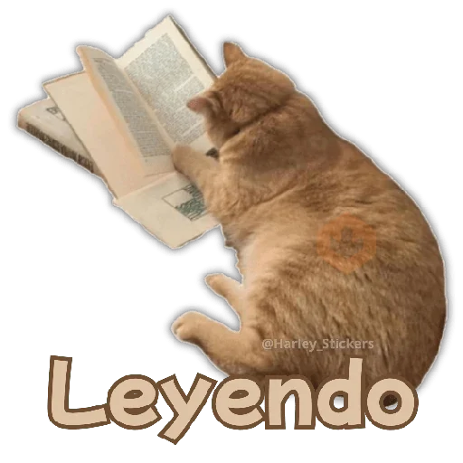 🧋🍉 GATOS que NECESITAS 🍉🧋 sticker 12