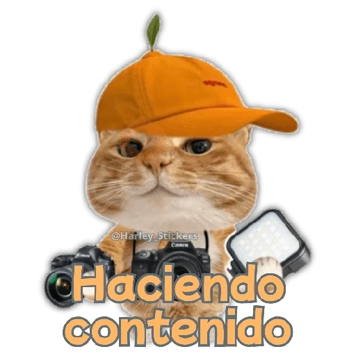 🧋🍉 GATOS que NECESITAS 🍉🧋 sticker 14