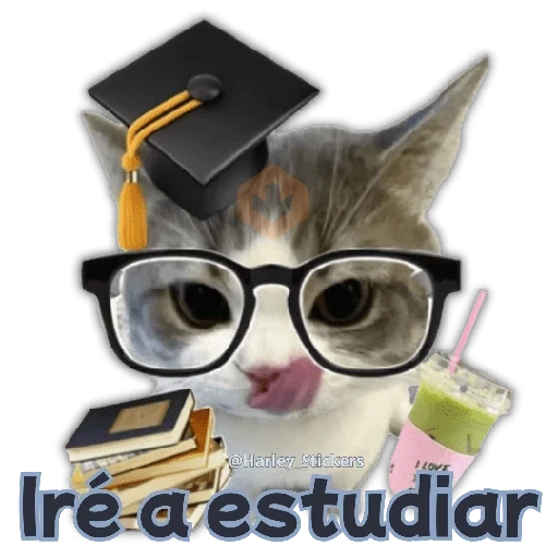 🧋🍉 GATOS que NECESITAS 🍉🧋 sticker 11