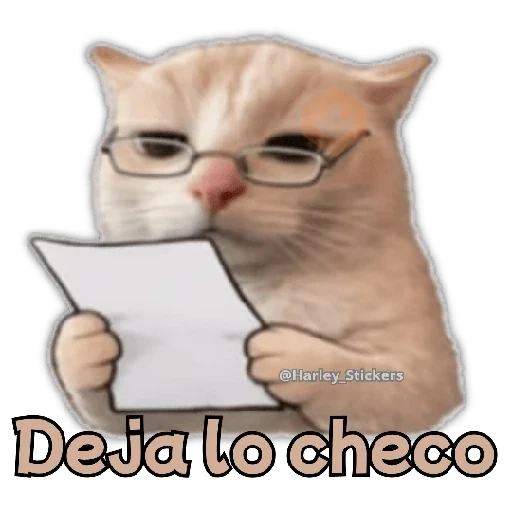 🧋🍉 GATOS que NECESITAS 🍉🧋 sticker 15