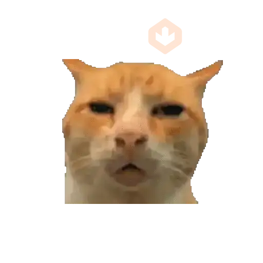 Gatos Enojados 2026 🐱😡 sticker 11