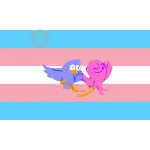 Transgender 🏳️‍⚧️ sticker 26