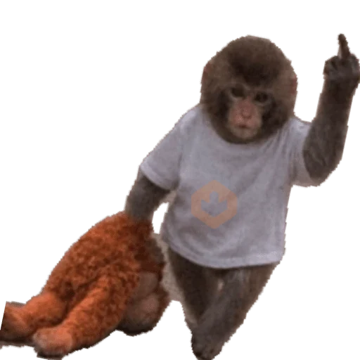 Teste para curiosos da angola sticker 23