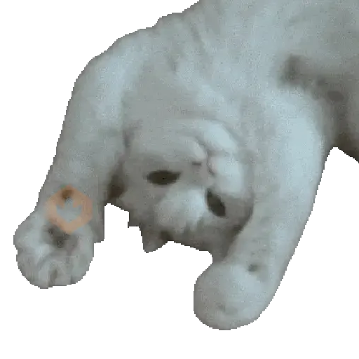 🐈🐱 Gatos Memes Michis 🐱🐈 sticker 11