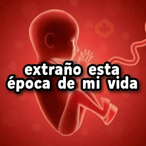COMBO de Stickers #➋➋ 🫟 sticker 15