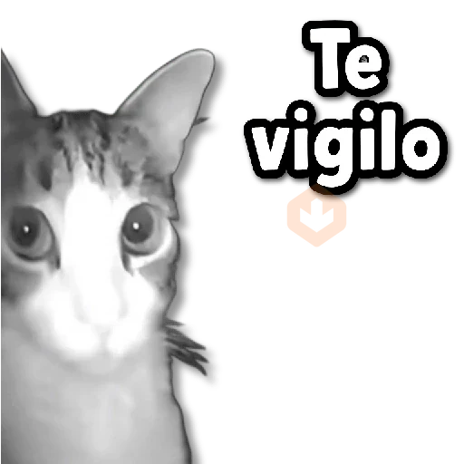COMBO de Stickers #➋➋ 🫟 sticker 11
