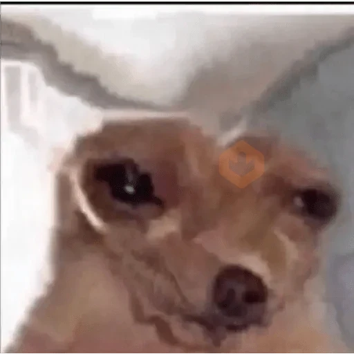 Perritos Tristes 😪🐶 sticker 11