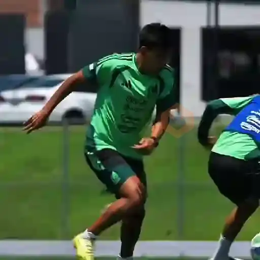 ⚽ Mexico Copa Mundial 🇲🇽 sticker 11