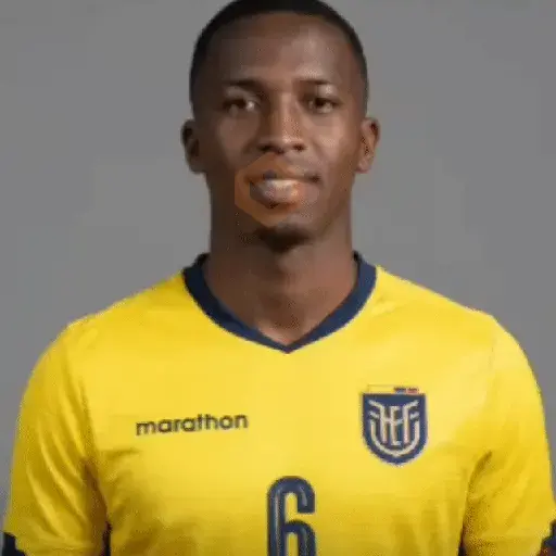 ⚽ Ecuador Copa Mundial 🇪🇨 sticker 13