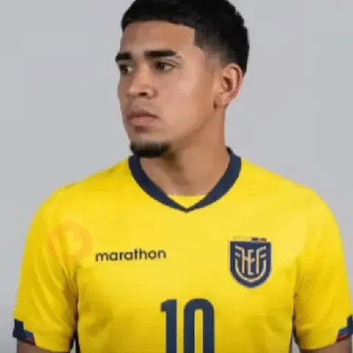 ⚽ Ecuador Copa Mundial 🇪🇨 sticker 19